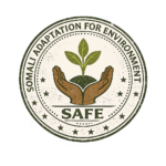 SAFE